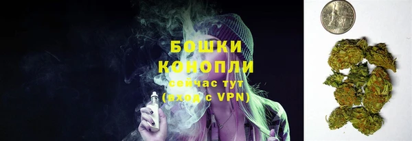 бошки Белокуриха