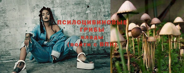 бошки Белокуриха