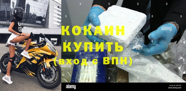 бошки Белокуриха