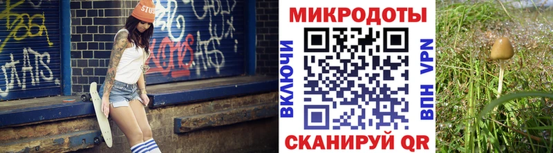 Купить закладки  Сибай  Псилоцибиновые грибы Psilocybe 